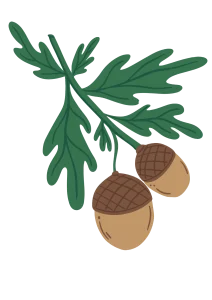 14 20240122 192447 0013 copy