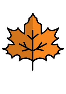 ریمل دوسر ضد آب شیگلم 17 5 20240122 192446 0004 copy 2