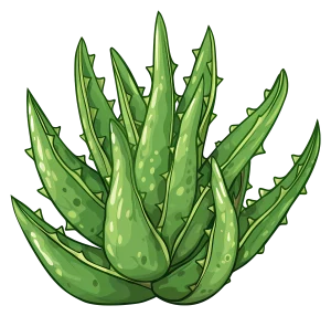 تونر گلیکولیک اسید 7% اوردینری | 240ml 13 00ae68863425466ea151017989b0b97b copy