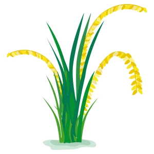 43be4b21fb0196f1d83946488d93f22e copy