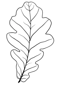 4 20240122 192446 0003 copy