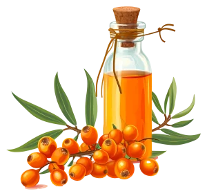 75ae9c6b440cc05a23df18b0c5293f16 copy