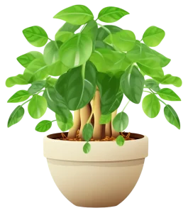 transparent tree philodendron plant potted plant greenery pot 649d59a7d9a193.5598174816880337038914 copy