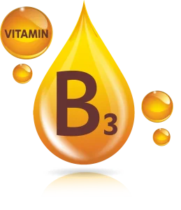 Pngtree—vitamin b3 icon logo golden 8864866 copy