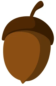 7 20240122 192447 0006 copy