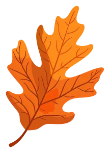 سرم آبرسان هیالوسیکا اسکین 1004 15 44aef4bbfbb6cead0e535d5921c4f5a9 copy