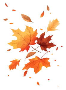 4c91e6c5ff3cd043c71238a2a13cae9c copy