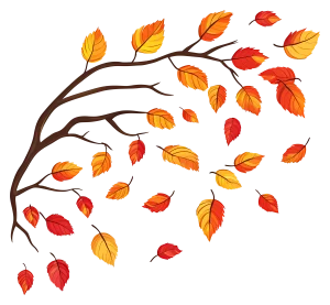 ریمل دوسر ضد آب شیگلم 21 64bd6c6dc40b2e5a8955434c6458283b copy