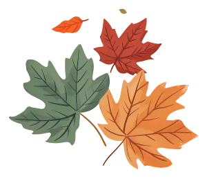 ریمل دوسر ضد آب شیگلم 9 ba82a0c00127e291660a3099b8aff952 copy