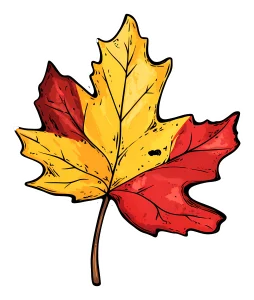 ریمل دوسر ضد آب شیگلم 19 ca2b694f30af585a608c8b4a881b3c43 copy