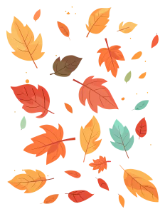 d4ea05373a6bf8c4075d33bc281d9b65 copy