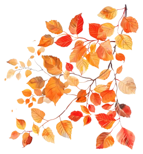 سرم آبرسان هیالوسیکا اسکین 1004 9 e30b669d791a7bc8a1063138ddb86620 1 copy